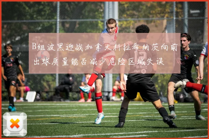 B组波黑迎战加拿大科拉希纳茨向前出球质量能否减少危险区域失误