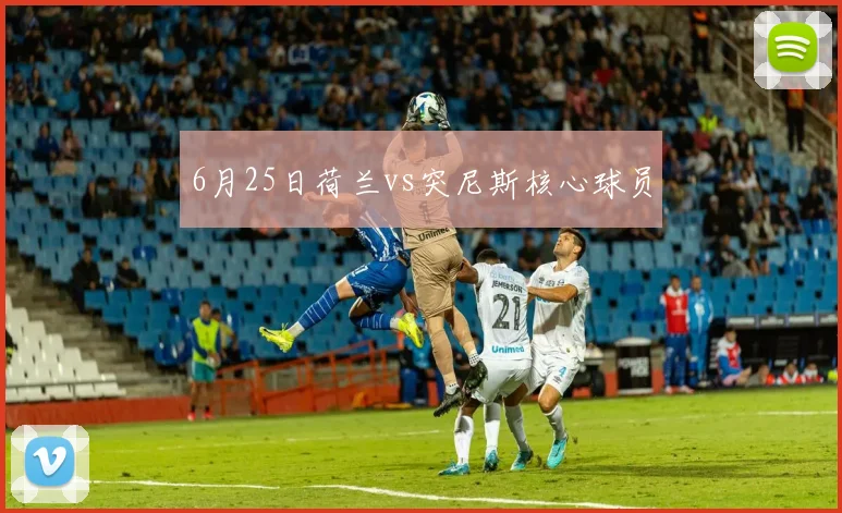 6月25日荷兰vs突尼斯核心球员